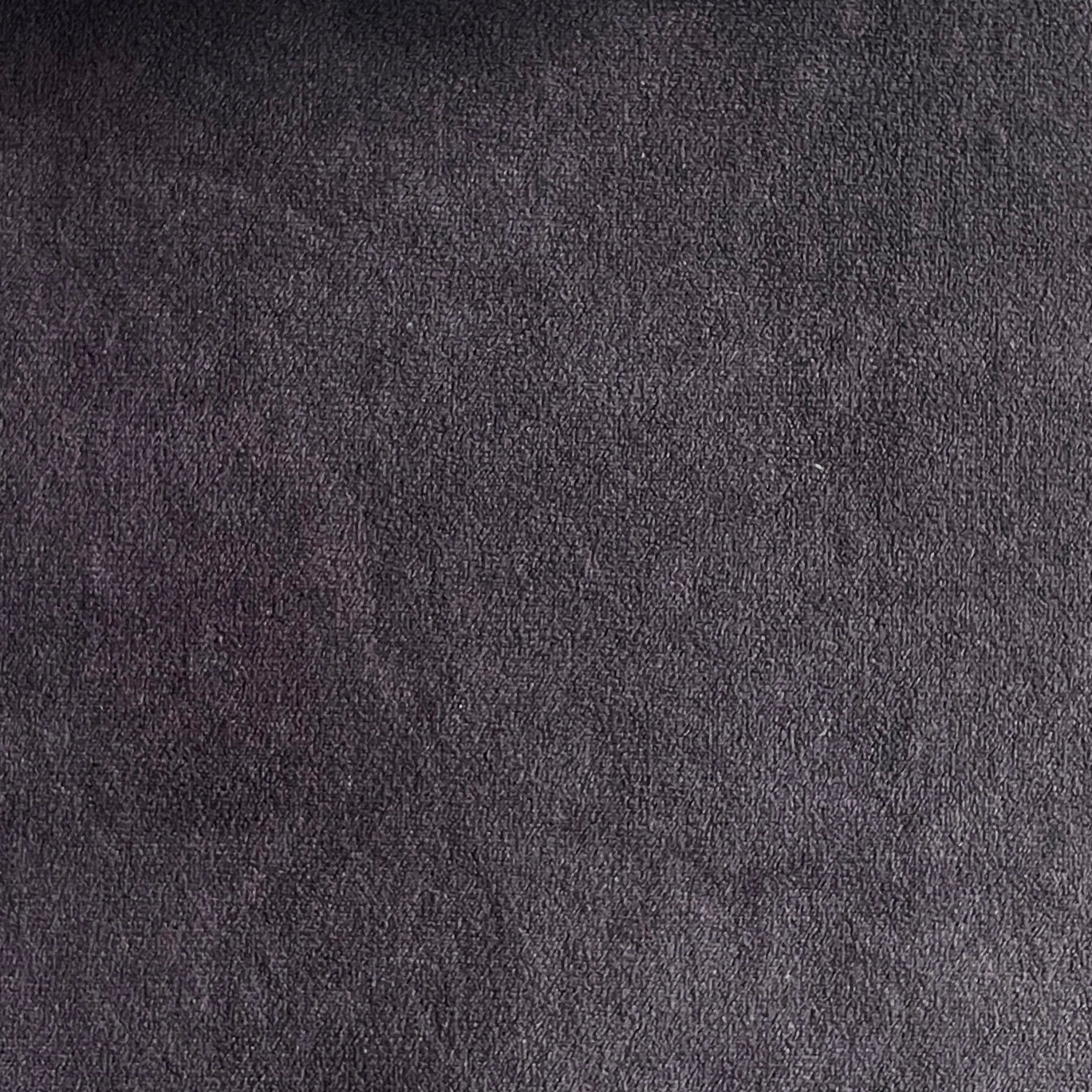 Caress 31 (velours microfibre)