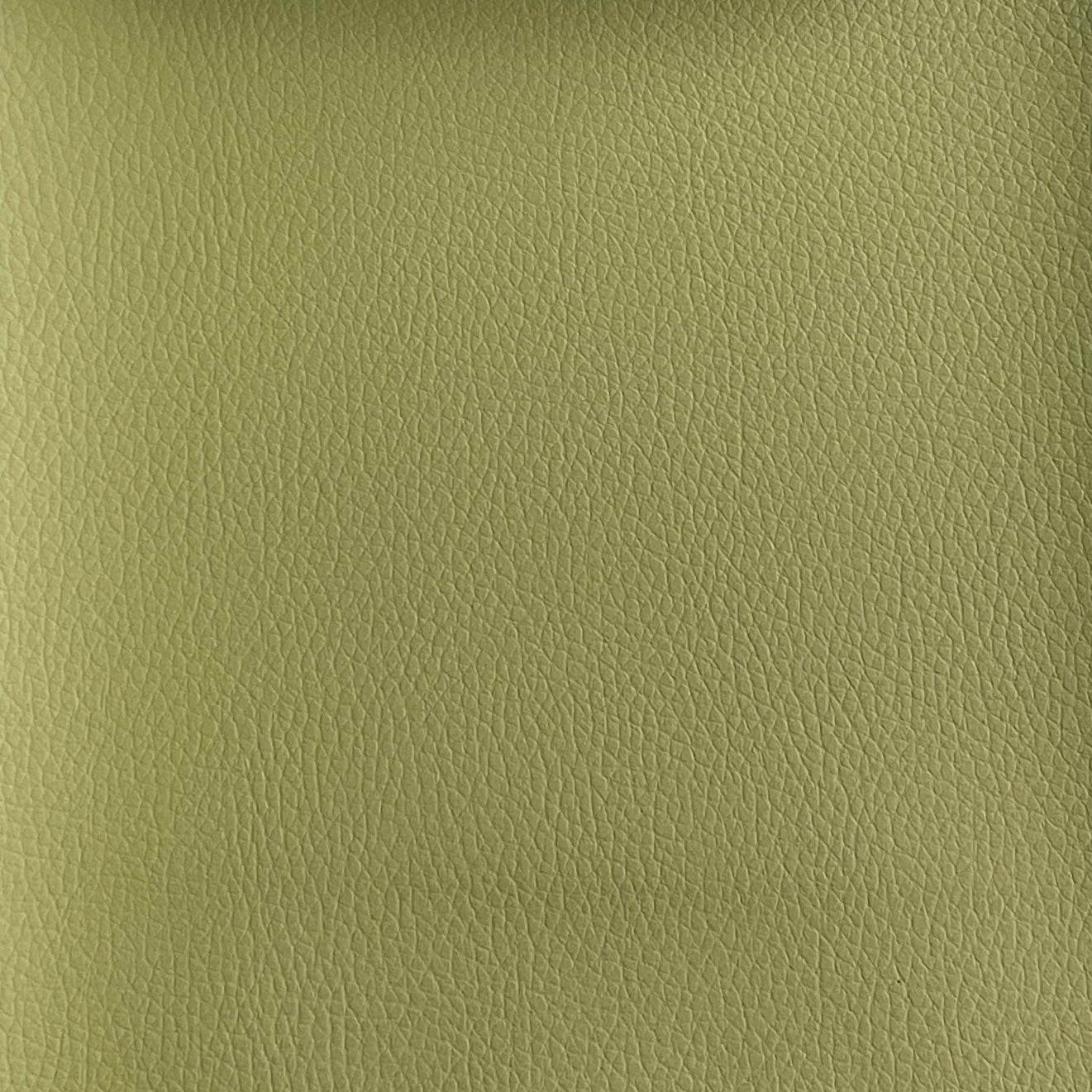 Tanner 202 (synthétique)