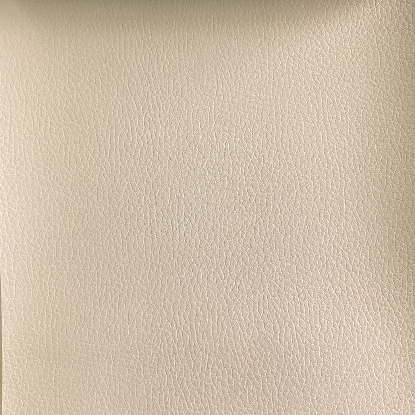 Tanner 206 (synthétique)