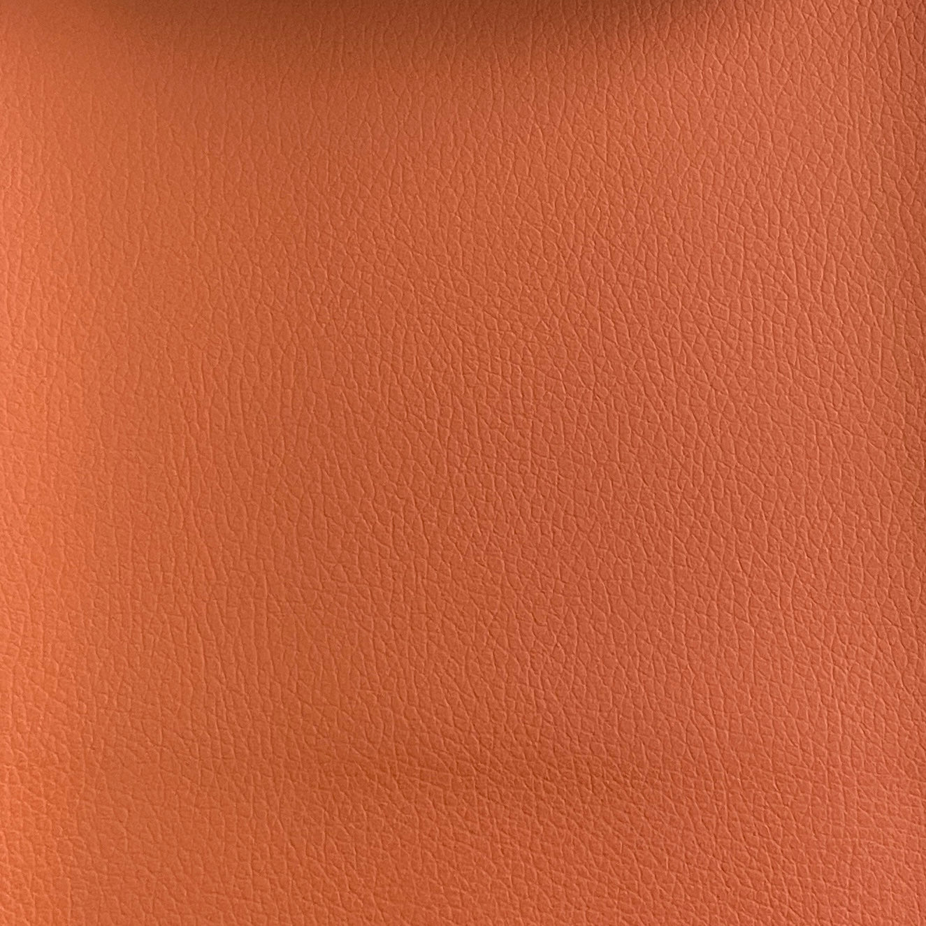 Tanner 14 (synthétique)