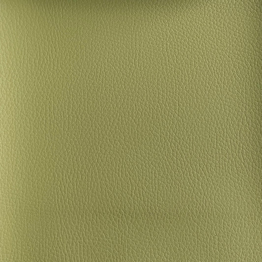 Tanner 202 (synthétique)